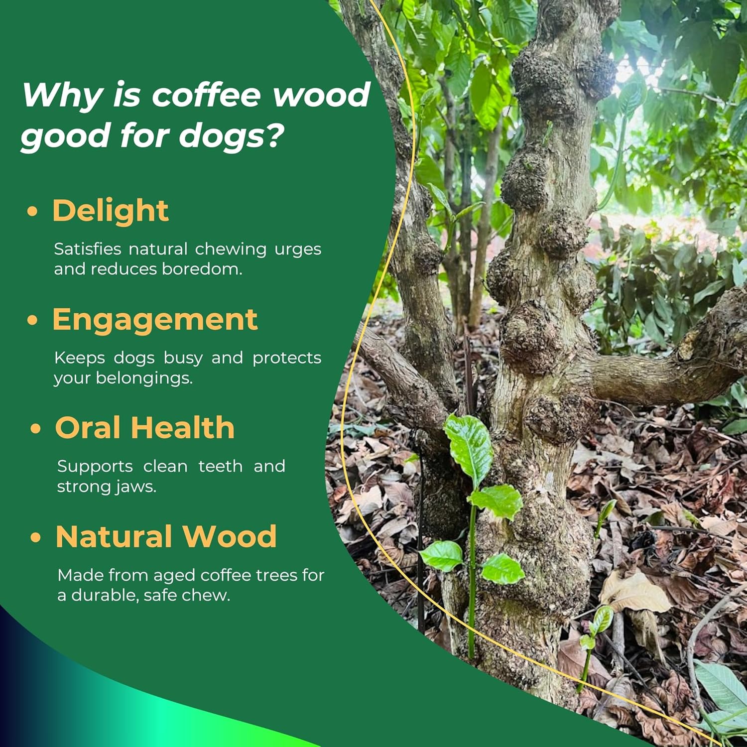 For Medium Dogs - Coffee Wood Dog Chew Stick Toy